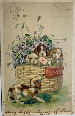 Vintage Postcard,  Best Wishes.  Posted 1907.  With Puppies In Basket