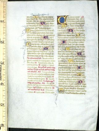 Illuminated Medieval Boh Leaf,  Vellum,  1large&22 Deco.  Gold Initials Etc,  C.  1420