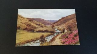 Vintage Postcard - J Salmon Ltd - A R Quinton - " The Doone Glen Lynton " Embossed