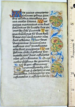 Deco.  Medieval Boh Leaf,  Vellum,  Gold - Washed Border&initials,  Ca.  1490
