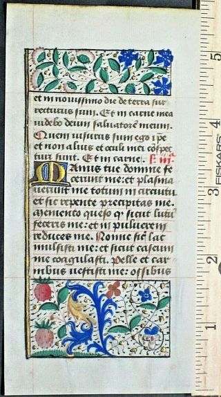 Cute Medieval Illuminated Boh Leaf,  Vellum,  Gold - Heigthened Initial&border,  C.  1420