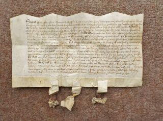 1558 Tong Bradford Yorkshire 16th Century Queen Mary Latin Vellum Deed Document