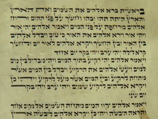 TORAH SCROLL BIBLE MANUSCRIPT FRAGMENT 150 YRS EUROPE 