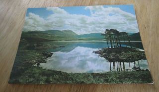 Vintage Loch Assynt Near Lochinver Sutherland J Arthur Dixon Postcard