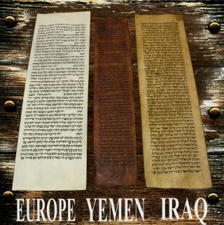 Set Of 3 Vellum Torah Bible Manuscript Fragments Judaica 100 - 250 Yrs Old