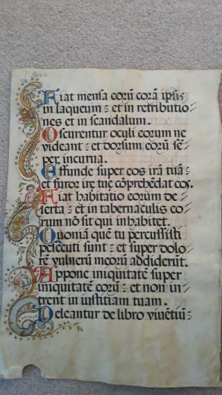 Antique Vellum Illuminated Medieval Manuscript,  Large Book Leaf In Latin