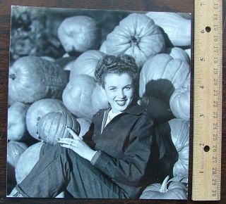 A 6.  5 X 6.  5 Glossy Photo Of Marilyn Monroe Andre De Dienes Stamped
