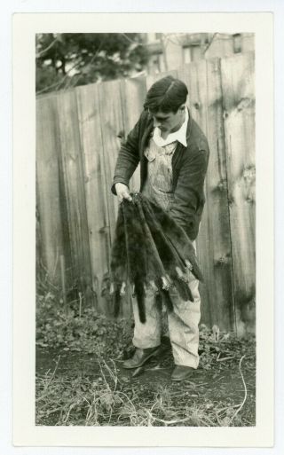 Vintage Photo Boy Showing Off Trapping Fur Animal Hide Trap Tanning Hunting Pelt