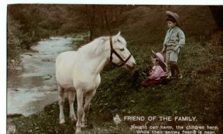 Vintage Postcard: Children On A Riverbank With White Pony Horse