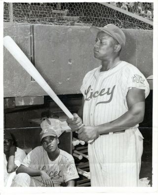 1952 Orig Photo Dominican Baseball Cuban & Negro League Star Player Alex Crespo