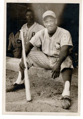 1952 Orig Photo Dominican Baseball Cuban & Negro League Star Pedro Formental
