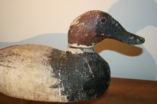 Antique Factory Canvasback Duck Decoy Paint Old Primitive Folk Art Lure 2