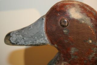 Antique Redhead Drake Duck Decoy Primitive American Folk Art Old Paint Lure