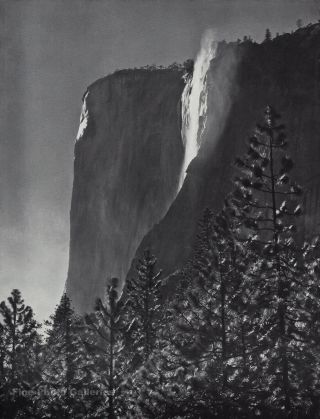 1959 Vintage Ansel Adams El Capitan Fall Yosemite Tree Landscape Photo Art 12x16