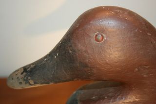 Antique Canvasback Decoy Primitive American Folk Art Early Duck Lure