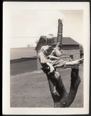 " Huckleberry Finn On Cherry Stump " Barefoot Blond Farm Boy 1930s Vintage Photo
