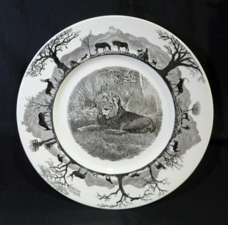 Vintage Wedgwood Kruger National Park Dinner Plate Lion With Map On Back 10.  75 "