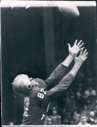 1958 Detroit Lions Football Player Perry Richards Catches Pass Press Photo