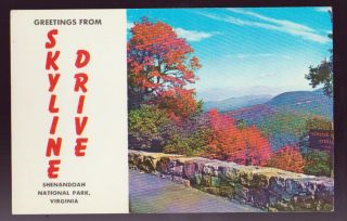 Virginia Va Shenandoah National Park Skyline Drive Greetings Vintage Postcard Pc