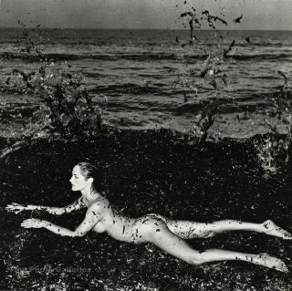 1980s Vintage Helmut Newton Female Nude Woman In Seaweed France Photo Art 11x14