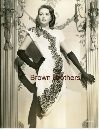 Vintage 1951 Actress Dorothy Malone & Other Model Fashion Photos (2photos) - Bb