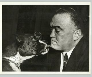 J Edgar Hoover First Fbi Director & Dog Lookalike 1930s Image 1970s Press Photo