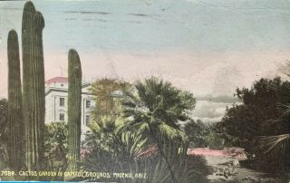 Vintage Postcard Of Phoenix,  Arizona Cactus Garden In Capitol Grounds 1913