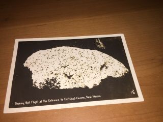 Vintage Real Photo Postcard - Bat Flight Carlsbad Cavern Mexico