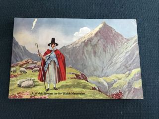 Vintage Postcard - A Welsh Woman In The Welsh Mountains - 1952 - S3