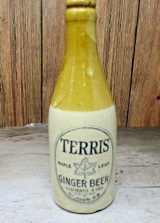 Terris Ginger Beer Ca.  1880 