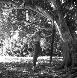 Bunny Yeager Estate 1960s Camera Negative Photograph Self Portrait Banyan Tree