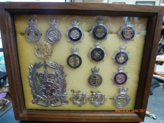 Set Of Old England Police Hat Badges In Wood Display
