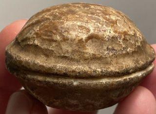Early Vintage Stone Marble Nut Italian Alabaster Stone Dark Alabaster Walnut Nm,