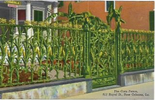 Corn Fence 915 Royal Street Orleans La Vintage Postcard