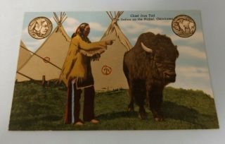 Native American Postcard - Vintage - Chief Iron Tail - Profile On The Nickel