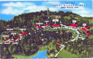 Piney Woods,  Miss,  Aerial View Map Of School,  Vintage Postcard (stamps,  Postage)