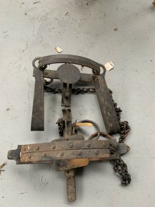 Antique Old Vintage 4 Oneida Victor Animal Trap Co And Blake And Lamb Trap