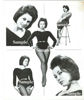 Young June Palmer - Vtg Very Rare Collectible First Composite 1950 