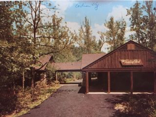 ⭐️vtg Postcard Of The Trading Post At Cumberland Falls S.  P.  Corbin,  Ky