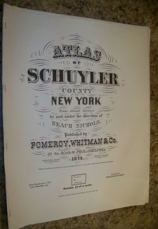 1874 Schuyler County Ny Atlas Map Hector Orange Tyrone Cayuta Dix 1975 Reprint