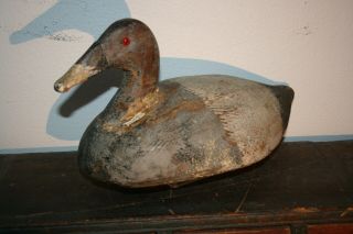 Antique Canvasback Duck Decoy Paint Primitive American Folk Art Carving