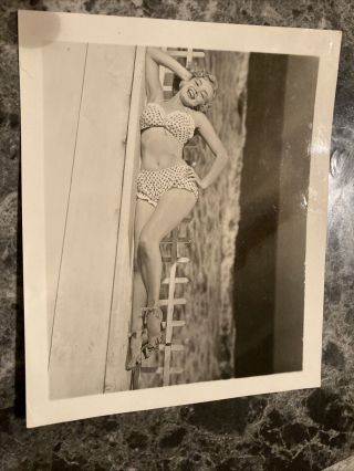 Vintage Marilyn Monroe In Bikini 4 " X 5 " B&w Ap / World Wide Photo