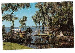 Vintage Florida Chrome Postcard Cypress Gardens Rustic Bridge