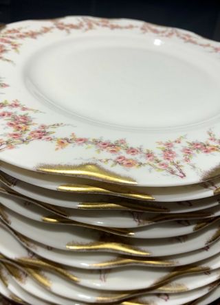 Set Of 12 Vintage Theodore Haviland " Varrene " Pattern Dinner Plates 10.  5”