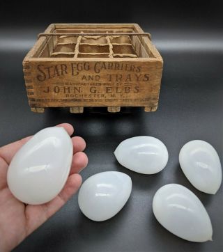 Rare Antique 1906 " Star Egg Carriers & Trays " Egg Carrier W/ 5 White Glass Eggs