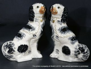 Vintage Pair Large 12.  5 " Staffordshire Spaniel Dogs Figurines Black White Gold