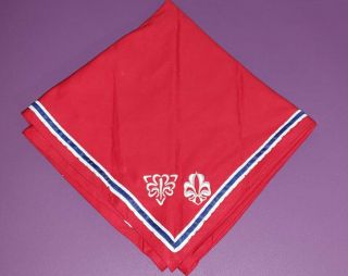 2019 World Scout Jamboree Norway Norwegian Contingent Neckerchief Wsj