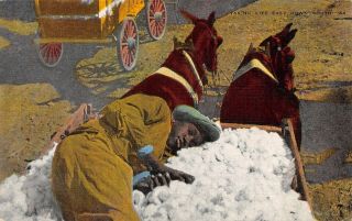 Vintage Postcard Black African American Sleeping On Cotton South Linen