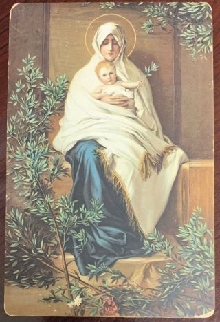 Vintage Madonna With The Olive Branch (dell’olivo) Barabino Stengel Postcard
