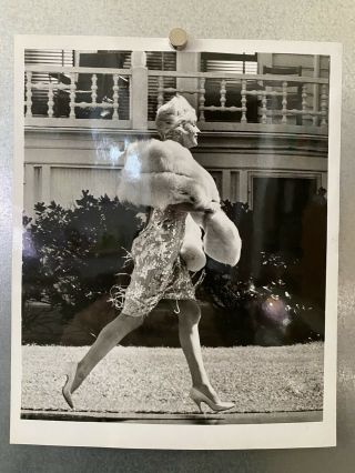 Marilyn Monroe Some Like It Hot 8x10 Photo Walking In Dress With Fur Scarf 1959